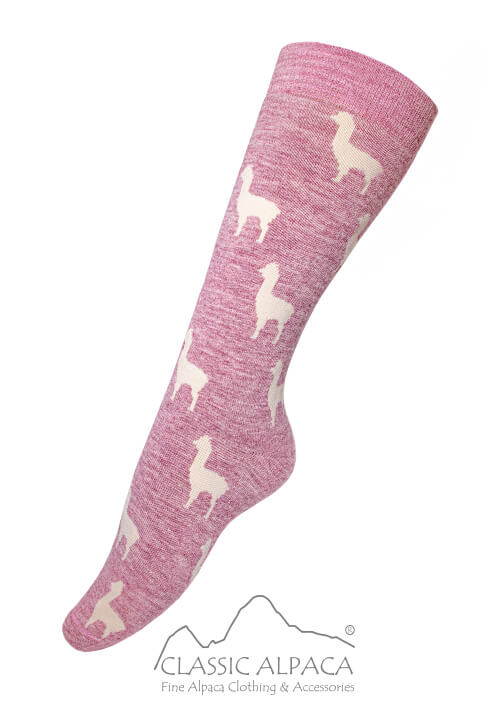 Premium Alpaca Alpaquita Unisex Socks with full terry construction, alpaca motifs, soft and warm alpaca fiber.
