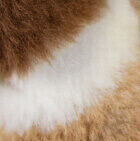 Baby Alpaca Fur Little Lion Keychain 4 Inches